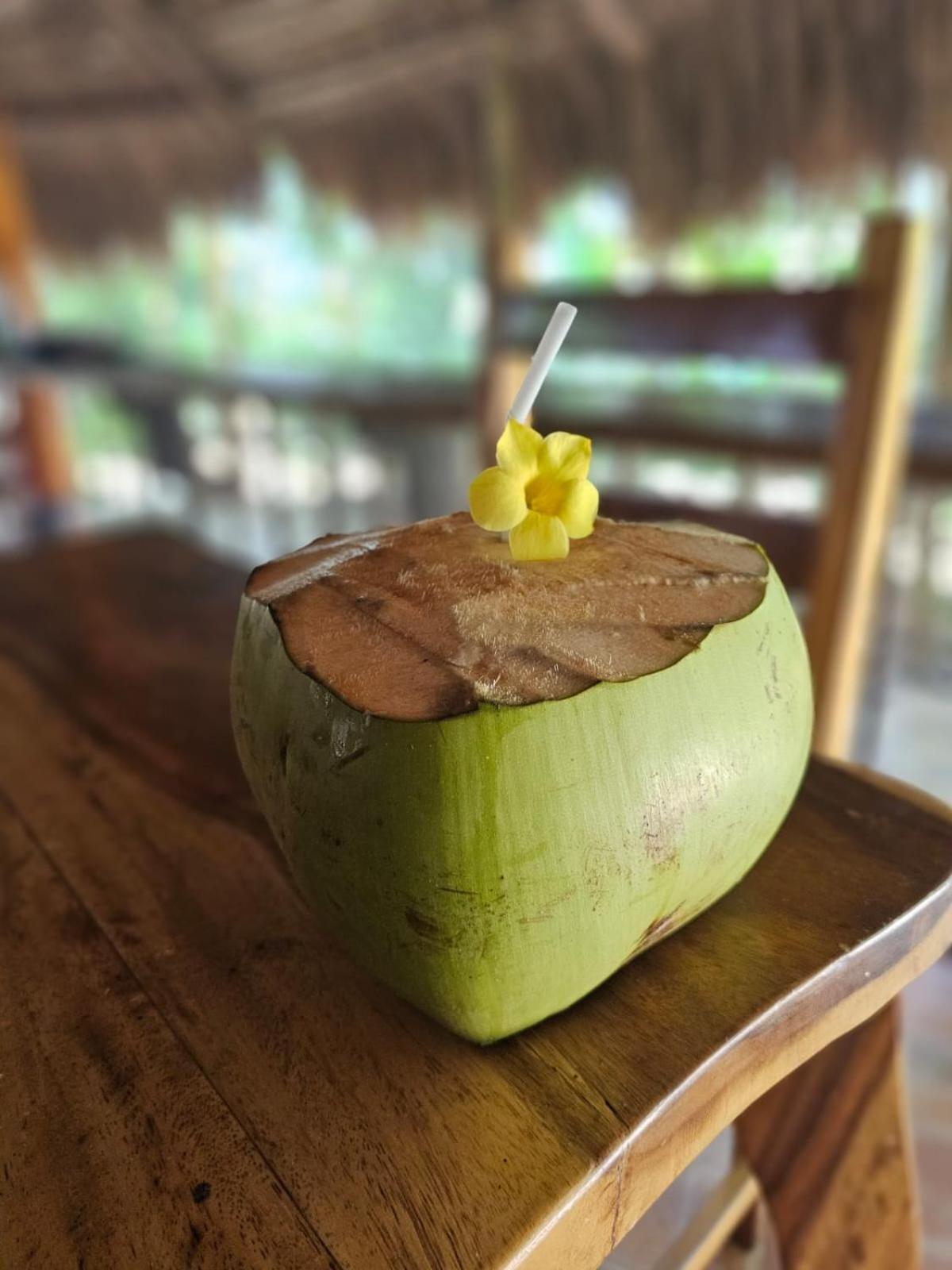 Big Bamboo Beach Resort 시팔레이 외부 사진